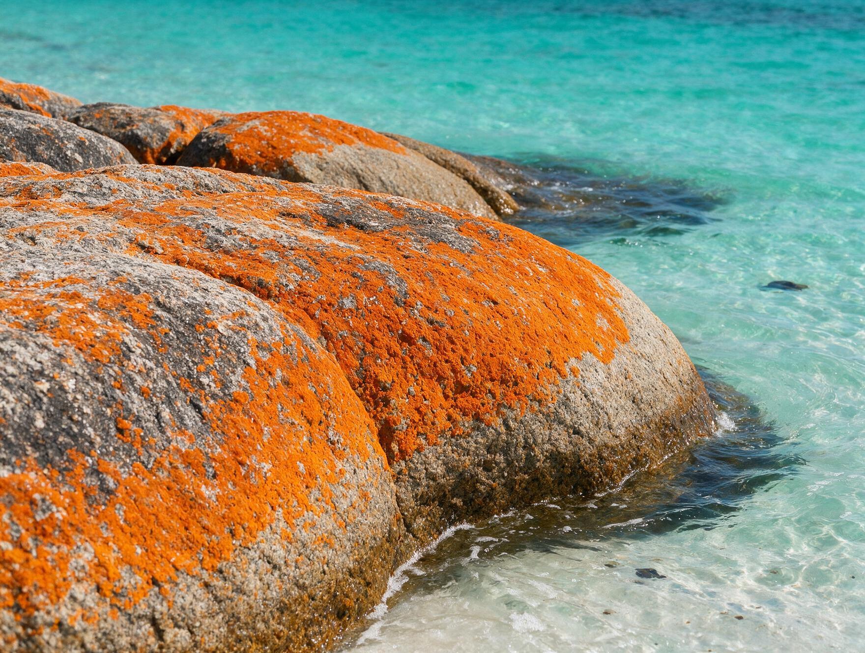 Orange lichen-covered granite boulders at Bay of Fires with turquoise water on Tasmania's northeast coast