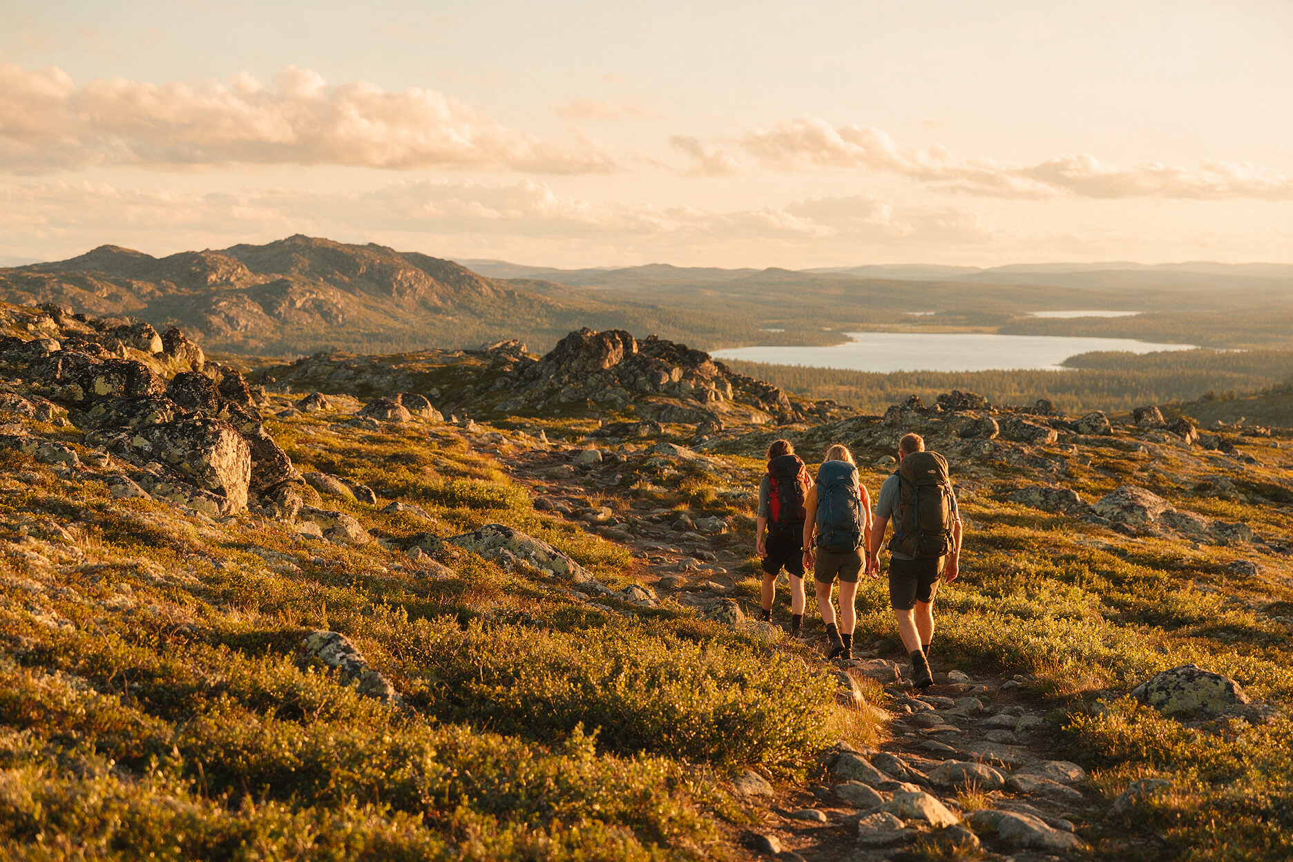 Hikers on a fell trail above Levi in summer